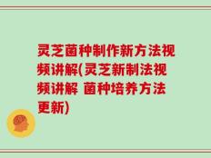 灵芝菌种制作新方法视频讲解(灵芝新制法视频讲解 菌种培养方法更新)