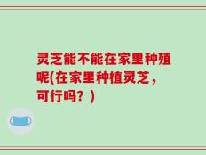 灵芝能不能在家里种殖呢(在家里种植灵芝，可行吗？)