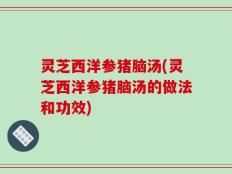 灵芝西洋参猪脑汤(灵芝西洋参猪脑汤的做法和功效)
