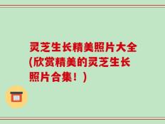 灵芝生长精美照片大全(欣赏精美的灵芝生长照片合集！)