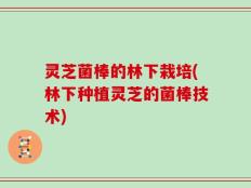 灵芝菌棒的林下栽培(林下种植灵芝的菌棒技术)