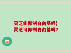 灵芝能抑制自由基吗(灵芝可抑制自由基吗？