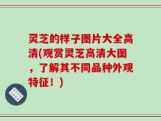 灵芝的样子图片大全高清(观赏灵芝高清大图，了解其不同品种外观特征！)