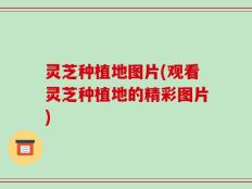 灵芝种植地图片(观看灵芝种植地的精彩图片)