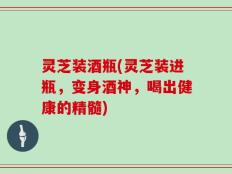 灵芝装酒瓶(灵芝装进瓶，变身酒神，喝出健康的精髓)