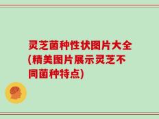 灵芝菌种性状图片大全(精美图片展示灵芝不同菌种特点)