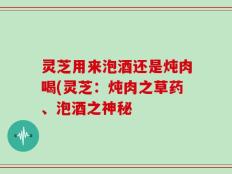 灵芝用来泡酒还是炖肉喝(灵芝：炖肉之草药、泡酒之神秘