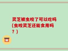灵芝被虫咬了可以吃吗(虫咬灵芝还能食用吗？)