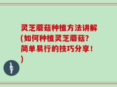 灵芝蘑菇种植方法讲解(如何种植灵芝蘑菇？简单易行的技巧分享！)