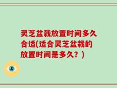 灵芝盆栽放置时间多久合适(适合灵芝盆栽的放置时间是多久？)
