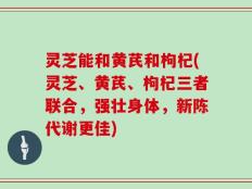 灵芝能和黄芪和枸杞(灵芝、黄芪、枸杞三者联合，强壮身体，新陈代谢更佳)