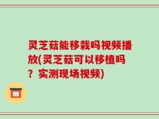 灵芝菇能移栽吗视频播放(灵芝菇可以移植吗？实测现场视频)