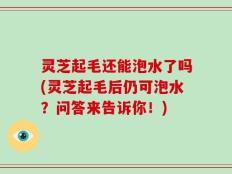 灵芝起毛还能泡水了吗(灵芝起毛后仍可泡水？问答来告诉你！)