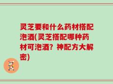 灵芝要和什么药材搭配泡酒(灵芝搭配哪种药材可泡酒？神配方大解密)