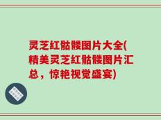 灵芝红骷髅图片大全(精美灵芝红骷髅图片汇总，惊艳视觉盛宴)