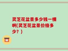灵芝花盆景多少钱一棵啊(灵芝花盆景价格多少？)