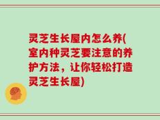 灵芝生长屋内怎么养(室内种灵芝要注意的养护方法，让你轻松打造灵芝生长屋)