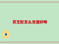 灵芝配怎么泡酒好喝