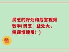 灵芝的好处和危害视频教学(灵芝：益处大，需谨慎使用！)