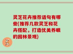 灵芝花卉推荐语句有哪些(推荐几款灵芝和花卉搭配，打造优美养眼的园林景观)