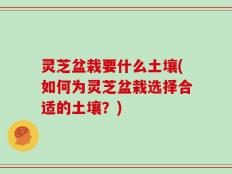 灵芝盆栽要什么土壤(如何为灵芝盆栽选择合适的土壤？)