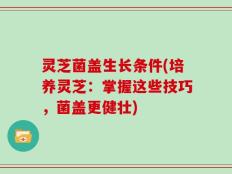 灵芝菌盖生长条件(培养灵芝：掌握这些技巧，菌盖更健壮)