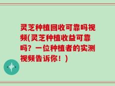 灵芝种植回收可靠吗视频(灵芝种植收益可靠吗？一位种植者的实测视频告诉你！)