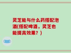 灵芝能与什么药搭配泡酒(搭配啤酒，灵芝也能提高效果？)