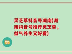 灵芝草抖音号湖南(湖南抖音号推荐灵芝草，益气养生又好看)