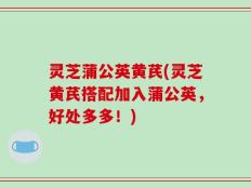 灵芝蒲公英黄芪(灵芝黄芪搭配加入蒲公英，好处多多！)