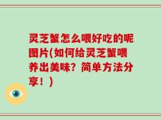 灵芝蟹怎么喂好吃的呢图片(如何给灵芝蟹喂养出美味？简单方法分享！)