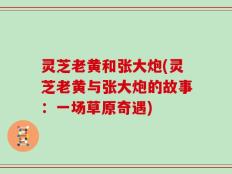 灵芝老黄和张大炮(灵芝老黄与张大炮的故事：一场草原奇遇)