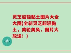 灵芝超轻黏土图片大全大图(全新灵芝超轻黏土，美轮美奂，图片大放送！)