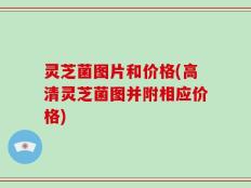 灵芝菌图片和价格(高清灵芝菌图并附相应价格)