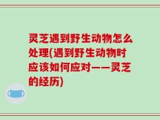 灵芝遇到野生动物怎么处理(遇到野生动物时应该如何应对——灵芝的经历)