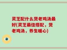 灵芝配什么煲老鸡汤最好(灵芝最佳搭配，煲老鸡汤，养生暖心)