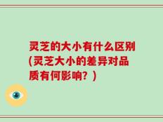 灵芝的大小有什么区别(灵芝大小的差异对品质有何影响？)