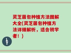 灵芝菌包种植方法图解大全(灵芝菌包种植方法详细解析，适合初学者！)