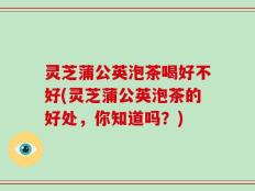 灵芝蒲公英泡茶喝好不好(灵芝蒲公英泡茶的好处，你知道吗？)