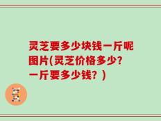 灵芝要多少块钱一斤呢图片(灵芝价格多少？一斤要多少钱？)