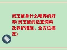 灵芝蟹拿什么喂养的好养(灵芝蟹的适宜饲料及养护措施，全方位搞定)