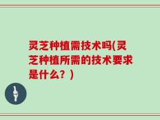 灵芝种植需技术吗(灵芝种植所需的技术要求是什么？)