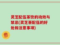 灵芝配伍茶饮的功效与禁忌(灵芝茶配伍的好处和注意事项)