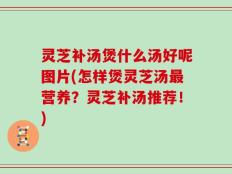 灵芝补汤煲什么汤好呢图片(怎样煲灵芝汤最营养？灵芝补汤推荐！)