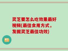 灵芝要怎么吃效果最好视频(最佳食用方式，发掘灵芝最佳功效)
