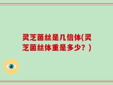 灵芝菌丝是几倍体(灵芝菌丝体重是多少？)
