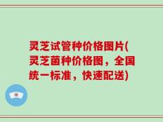 灵芝试管种价格图片(灵芝菌种价格图，全国统一标准，快速配送)