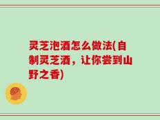 灵芝泡酒怎么做法(自制灵芝酒，让你尝到山野之香)