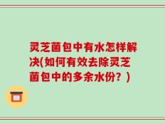 灵芝菌包中有水怎样解决(如何有效去除灵芝菌包中的多余水份？)