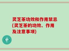 灵芝茶功效和作用禁忌(灵芝茶的功效、作用及注意事项)